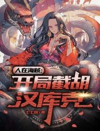 人在海贼:开局截胡汉库克