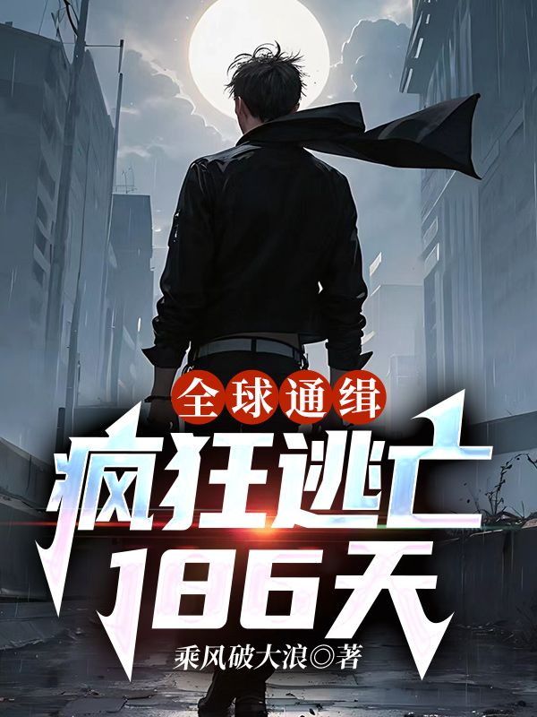 全球通緝:瘋狂逃亡186天