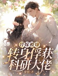 替嫁被嫌,转身俘获科研大佬