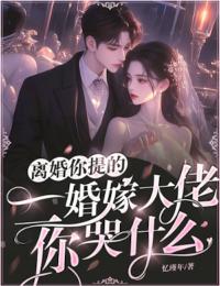 离婚你提的,二婚嫁大佬,你哭什么?
