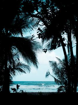 闺蜜她人淡如菊