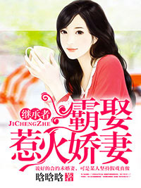 繼承者:霸娶惹火嬌妻