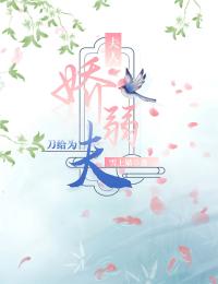 夫人娇弱,刀给为夫
