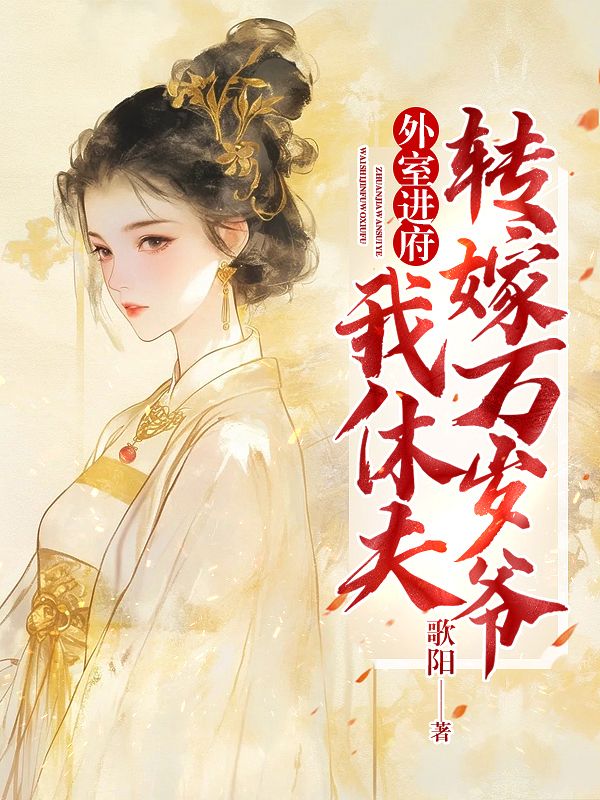 外室进府,我休夫转嫁万岁爷