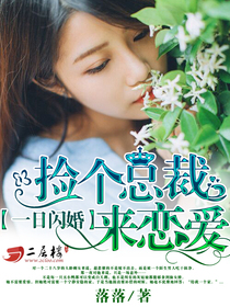 一日闪婚:捡个总裁来恋爱