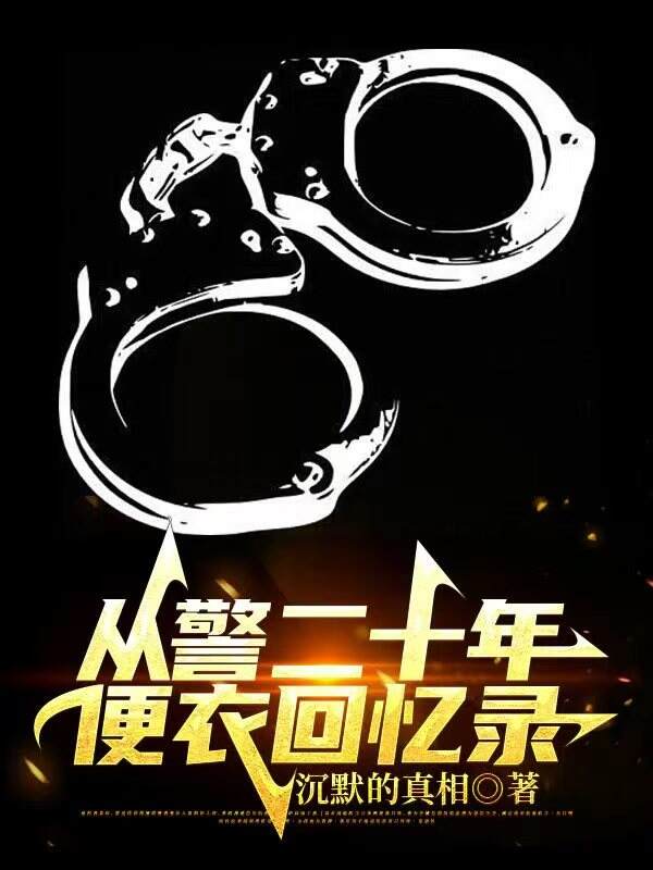 从警二十年,便衣回忆录
