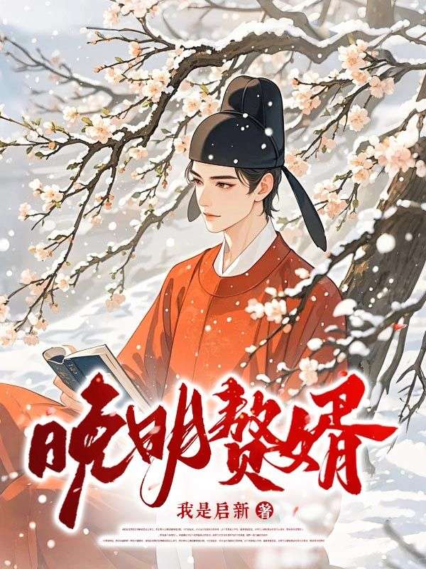晚明赘婿