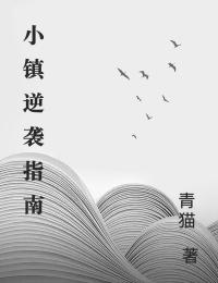 小鎮(zhèn)逆襲指南