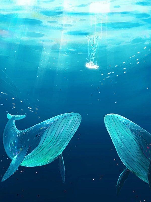 我被改造成海狮后，全家后悔了