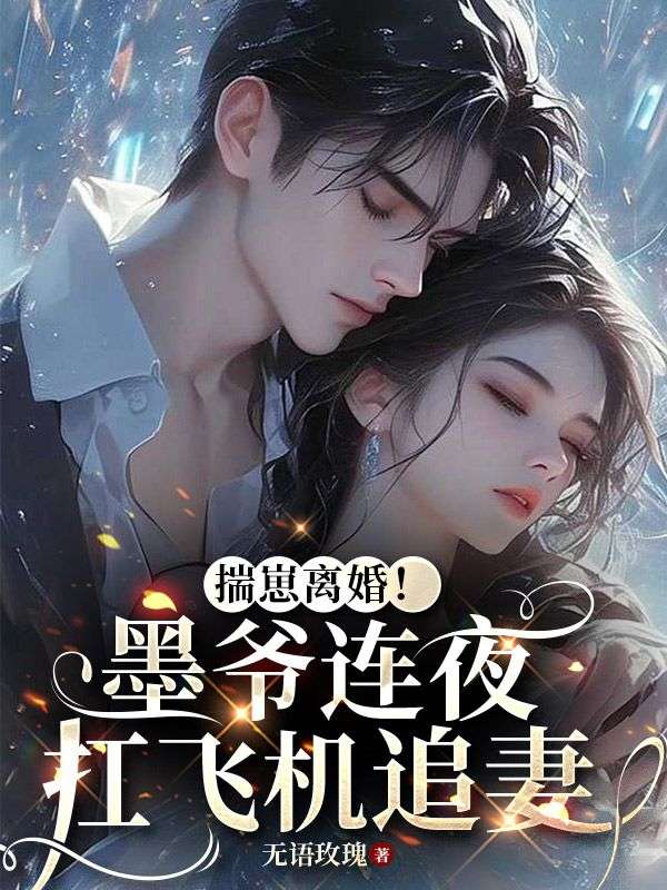 揣崽离婚!墨爷连夜扛飞机追妻