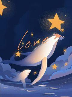 流浪猫直播