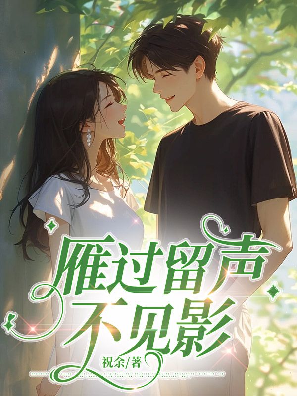 雁过留声不见影