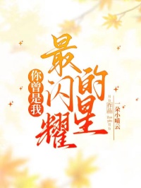你曾是我最閃耀的星