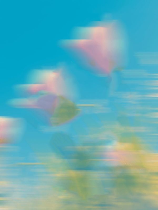 我當(dāng)保姆補(bǔ)貼家用，全家人都想讓我死