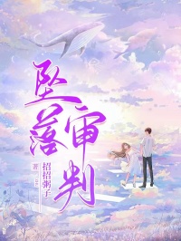 坠落审判