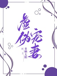 虚伪宠妻