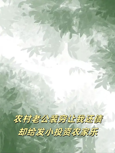 农村老公装穷让我还债，却给发小投资农家乐