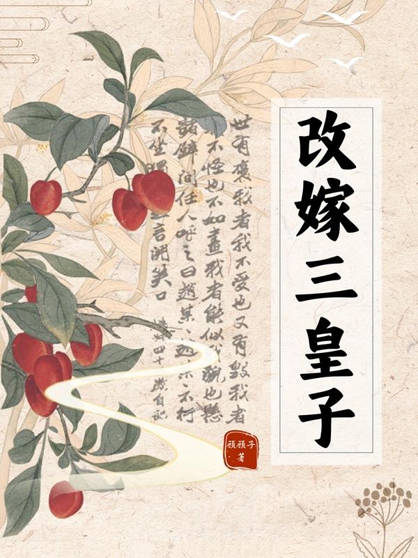 改嫁三皇子