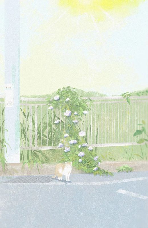 迟暮逢春
