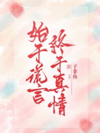 始于谎言,终于真情
