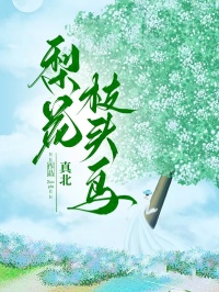 梨花枝头鸟