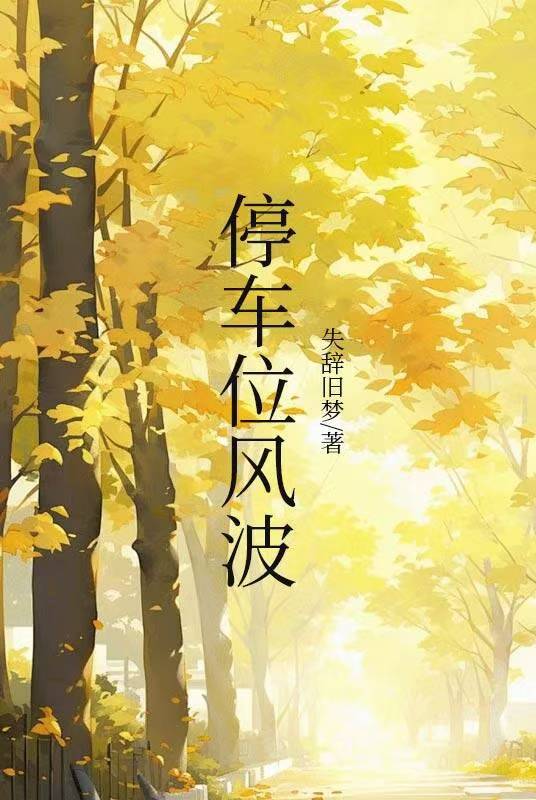 停车位风波