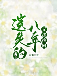 遗失的八年，无法挽回