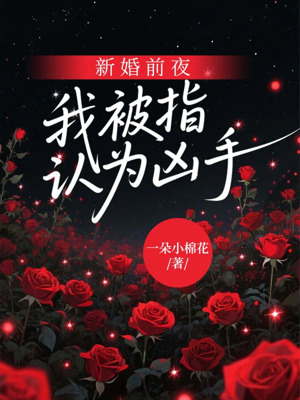 新婚前夜，我被指认为凶手