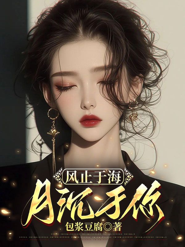 风止于海，月沉于你