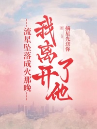 流星坠落成火那晚，我离开了他