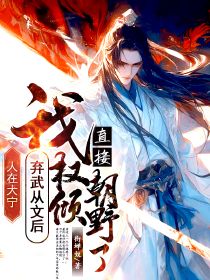 人在大宁,我弃武从文后直接权倾朝野了