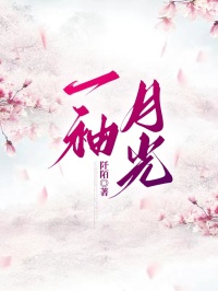 一袖月光
