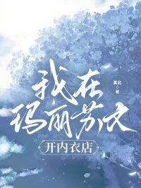我在玛丽苏文开内衣店