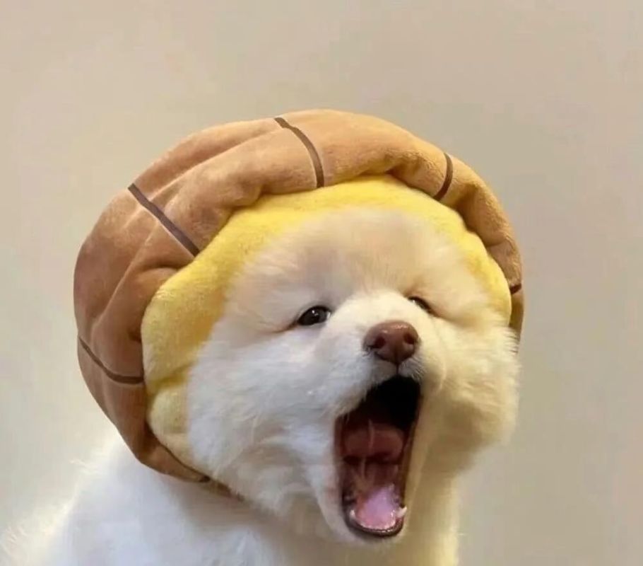 只道深情已迟暮