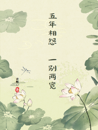 五年相怨，一别两宽