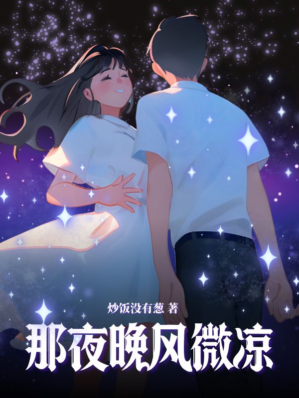 那夜晚风微凉