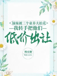 妹妹被三个童养夫拍卖，我转手把他们低价出让
