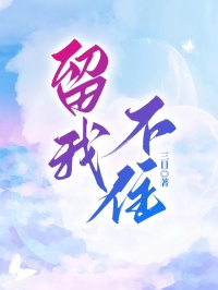 留我不住
