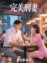 完美刑妻