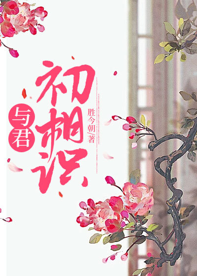 與君初相識