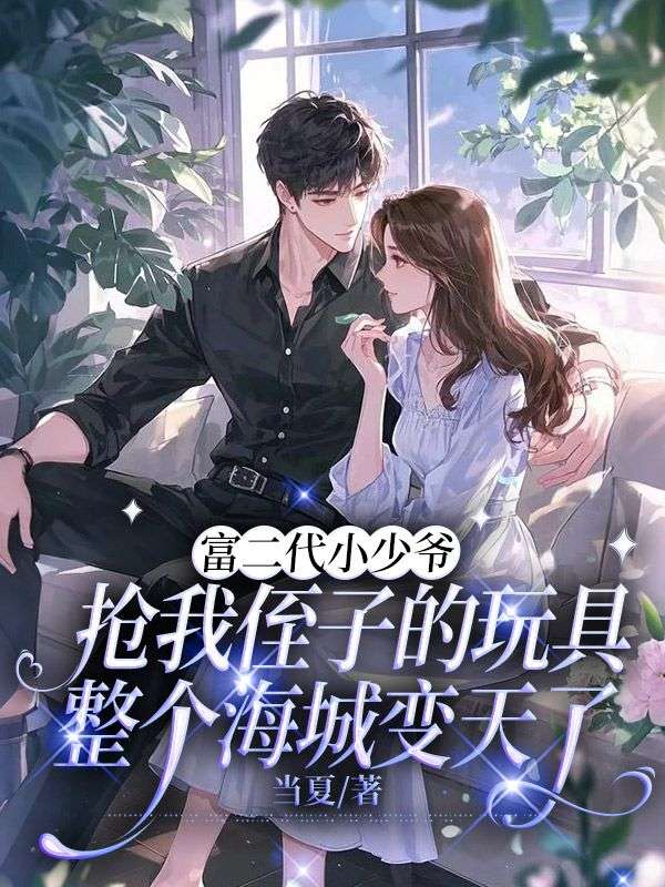 富二代小少爺搶我侄子的玩具，整個(gè)海城變天了