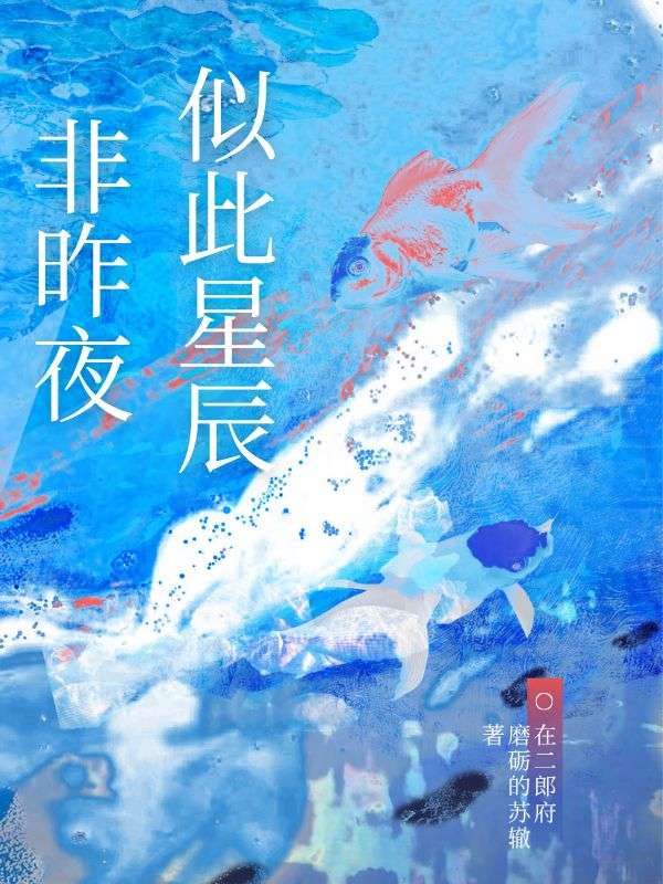 似此星辰非昨夜