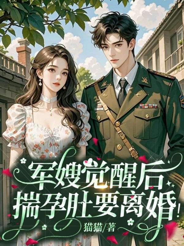 军嫂觉醒后,揣孕肚要离婚!