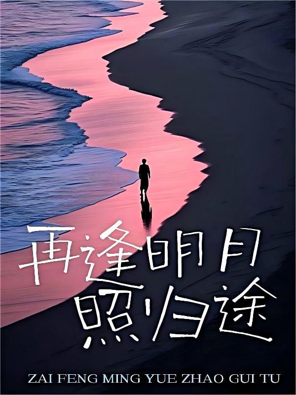 再逢明月照归途