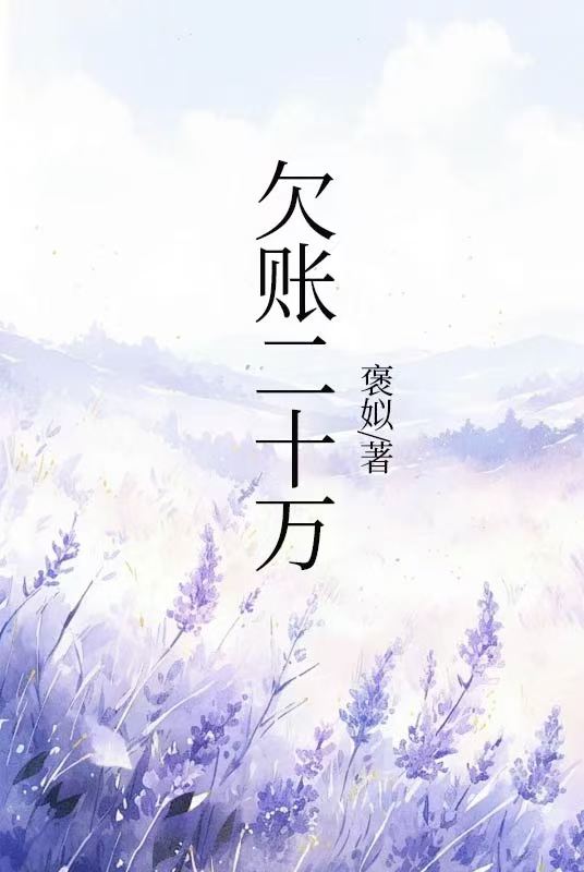 欠账二十万