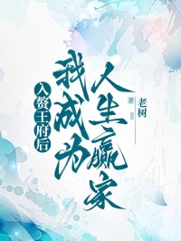 入贅王府后,我成為人生贏家