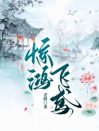 惊鸿飞鸢