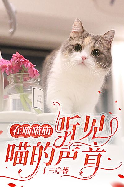 在喵喵廟聽見喵的聲音