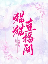 猫猫直播间