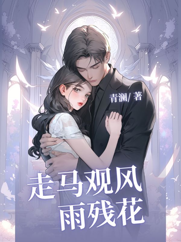 走馬觀風(fēng)雨殘花